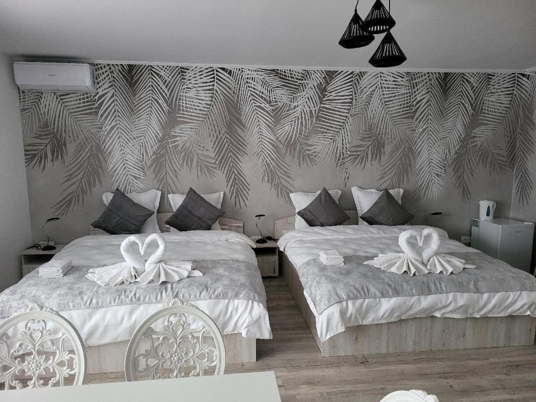 Casa Ratiu Airport Bucharest Therme Bucharest * Balotesti