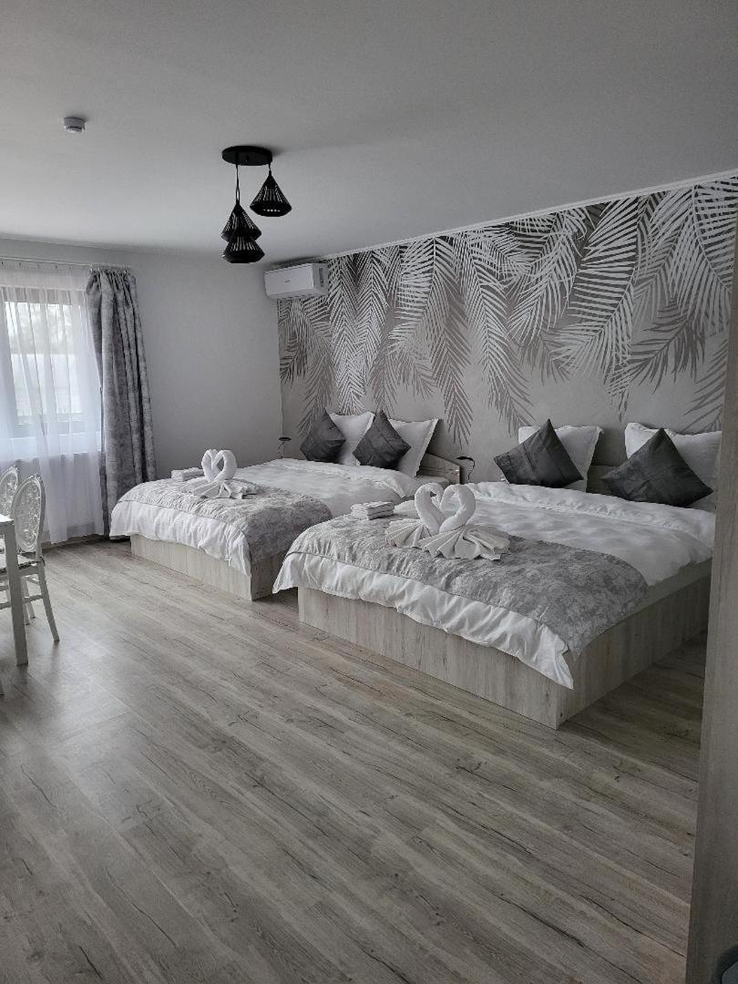 Casa Ratiu Airport Bucharest Therme Bucharest Apartment Balotesti