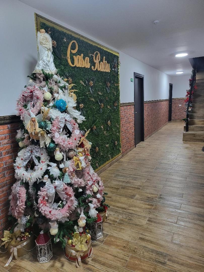 Apartment Casa Ratiu Airport Bucharest Therme Bucharest Balotesti