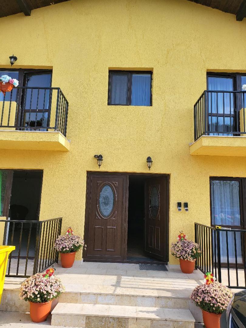 Casa Ratiu Airport Bucharest Therme Bucharest Apartment