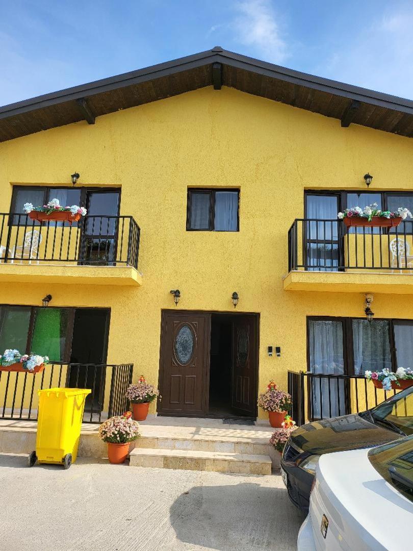 Apartment Casa Ratiu Airport Bucharest Therme Bucharest Balotesti