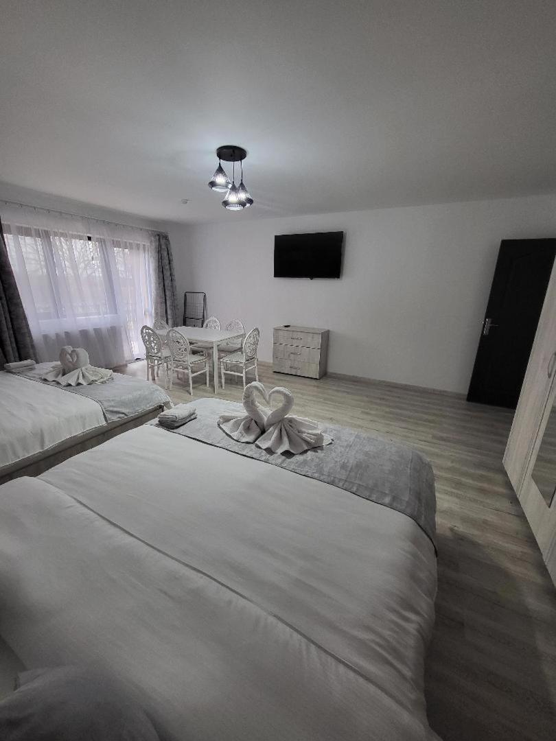 Casa Ratiu Airport Bucharest Therme Bucharest Apartment Balotesti